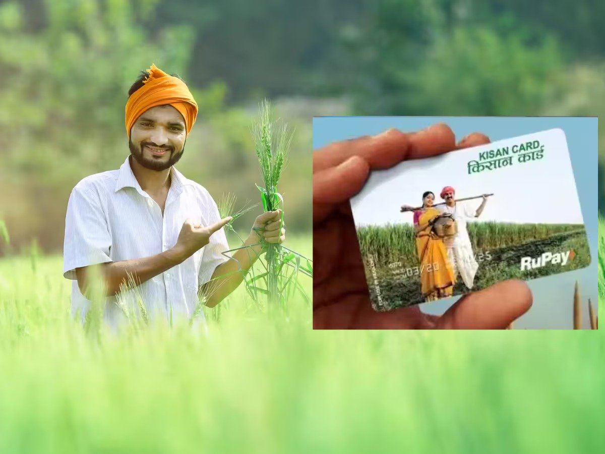 कृषी विभागाकडील विविध योजनांच्या लाभासाठी फार्मर आयडी काढून घेण्याचे आवाहन
