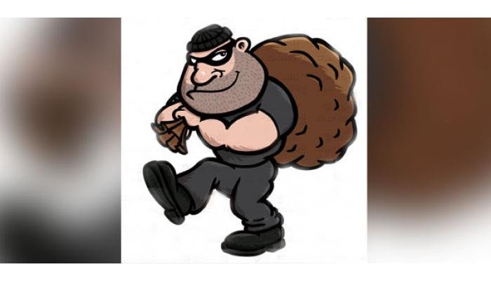 वर्कशॉपमधून ३० हजारांचे साहित्य लंपास